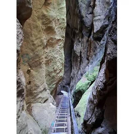 Дом отдыха Iii Reinhardtsdorf-Schona